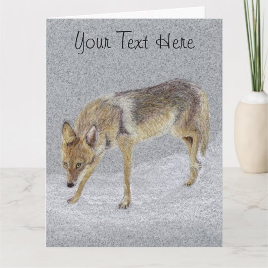 Coyote Briefkaart (Voorkant)