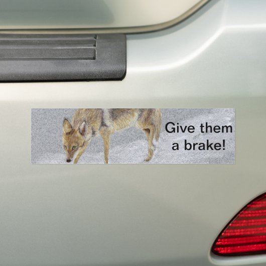Coyote Bumpersticker (Op auto)