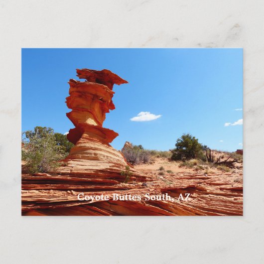 Coyote Buttes South, AZ Arizona, Rock Formations Briefkaart (Voorkant)
