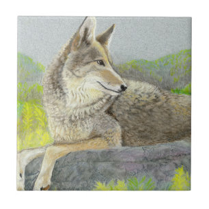 Coyote Ceramic Tile Tegeltje