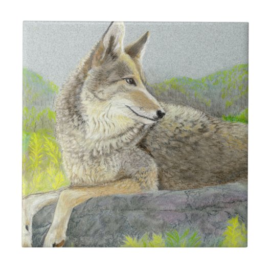 Coyote Ceramic Tile Tegeltje (Voorkant)