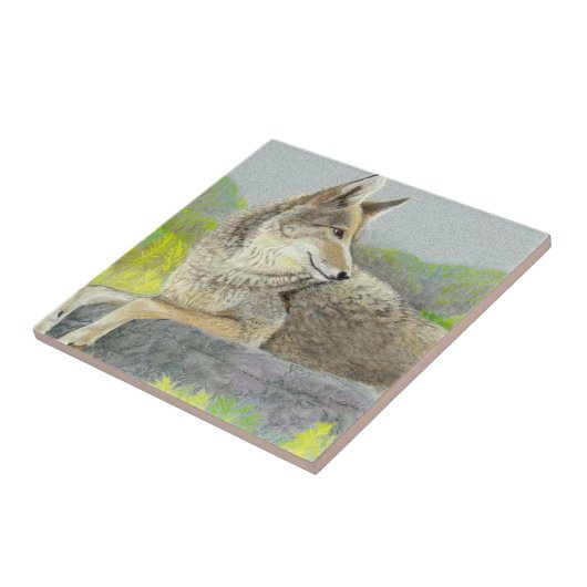 Coyote Ceramic Tile Tegeltje (Zijkant)