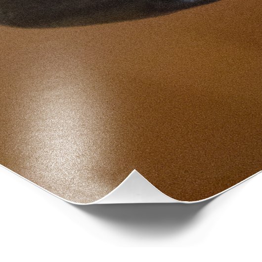 Coyote closeup foto afdruk (Hoek)