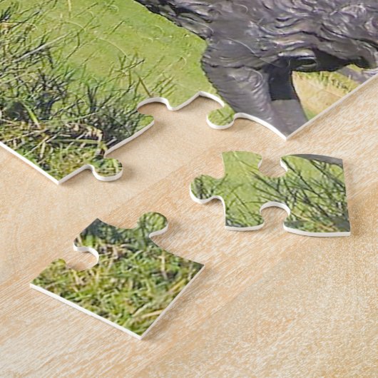 Coyote Cowboy Alberta Legpuzzel (Zijkant)