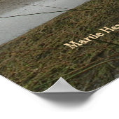 Coyote Creek Print - Selecteer uw Lijst (Hoek)