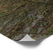 Coyote Creek Rainy Day Poster (Hoek)