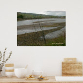 Coyote Creek Rainy Day Poster (Keuken)