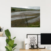 Coyote Creek Rainy Day Poster (Thuiskantoor)
