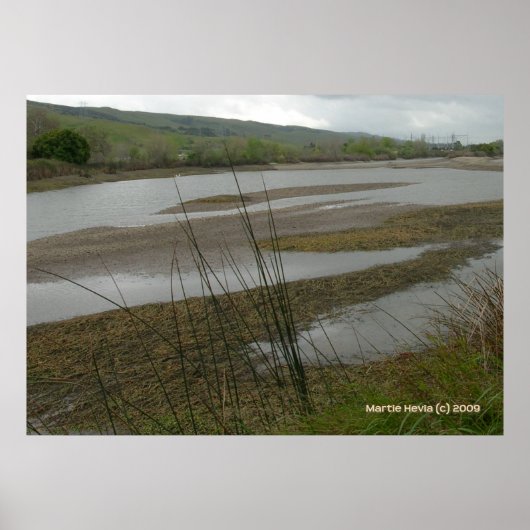 Coyote Creek Rainy Day Poster (Voorkant)
