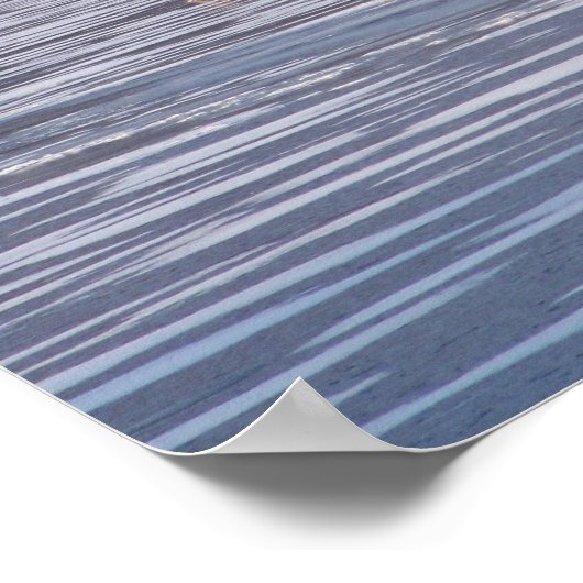 Coyote Crossing Poster (Hoek)