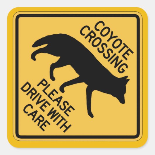 Coyote Crossing, verkeerswaarschuwingsteken, Veren Vierkante Sticker (Voorkant)