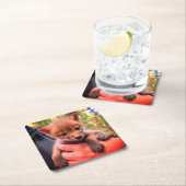 Coyote Cub Kartonnen Onderzetters (Insitu)