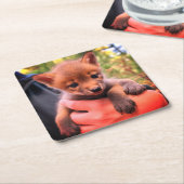 Coyote Cub Kartonnen Onderzetters (Schuin)