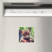 Coyote Cub Magneet (Insitu (Vaatwasser))