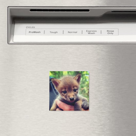 Coyote Cub Magneet (Insitu (Vaatwasser))