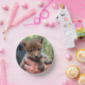 Coyote Cub Papieren Kommen (Feest)