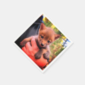 Coyote Cub Servet (Hoek)