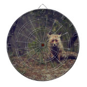 Coyote Dartbord (Voorkant)