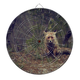 Coyote Dartbord