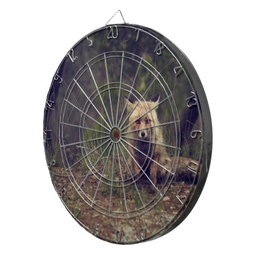 Coyote Dartbord (Voorkant Rechts)