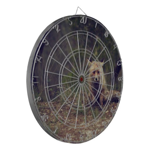 Coyote Dartbord (Voorkant Links)