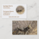 Coyote Design Visitekaartje (Voorkant / Achterkant)