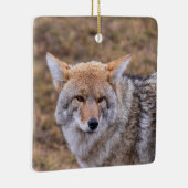Coyote Dog Ornament (Rechts)