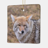 Coyote Dog Ornament (Links)