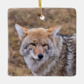 Coyote Dog Ornament (Voorkant)