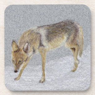 Coyote Drankjes Onderzetter