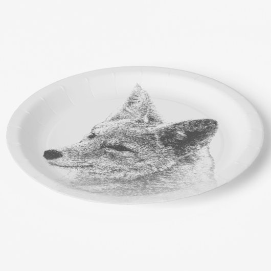 Coyote Drawing Papieren Bordje (Gekanteld)