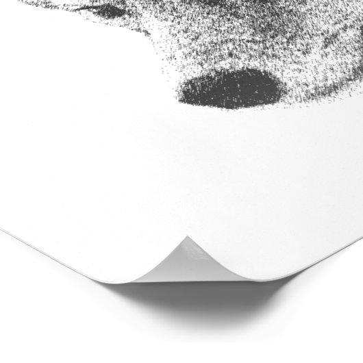 Coyote Drawing Poster (Hoek)