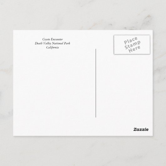 Coyote Encounter Briefkaart (Achterkant)