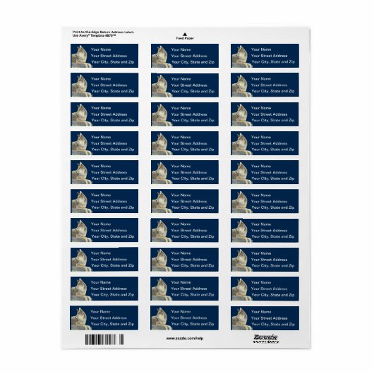 Coyote Etiket (Full Sheet)