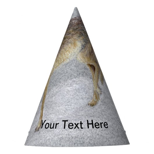 Coyote Feesthoedjes (Voorkant)