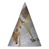 Coyote Feesthoedjes (Links)