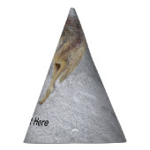 Coyote Feesthoedjes (Rechts)