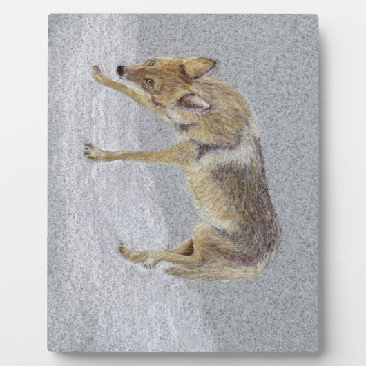 Coyote Fotoplaat (Voorkant)