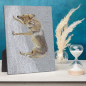 Coyote Fotoplaat (Zijkant)