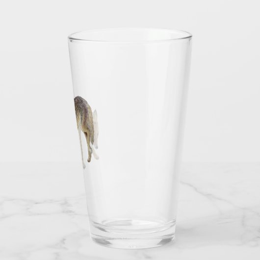 Coyote Glas (Links)
