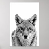 Coyote Head Portrait Black White Poster (Voorkant)