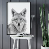 Coyote Head Portret zwart wit Poster
