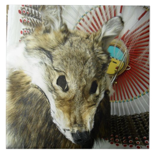 Coyote Headdress Tile Tegeltje (Voorkant)