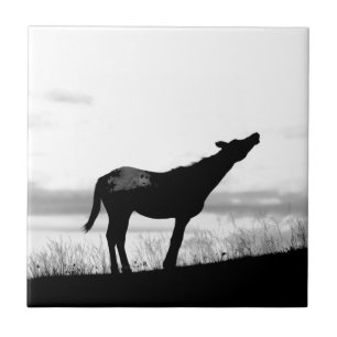 Coyote Horse Tegeltje