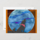 Coyote Howling bij de blauwe maan Briefkaart (Voorkant / Achterkant)
