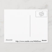 Coyote Howling bij de blauwe maan Briefkaart (Achterkant)