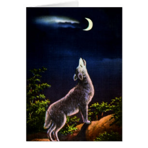 Coyote Howling bij de maan