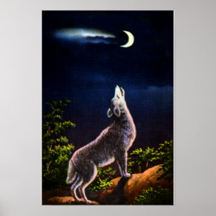 Coyote Howling bij de maan Poster
