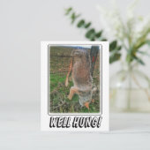 COYOTE HUNT - GOED HUNG OVER FENCE BRIEFKAART (Staand voorkant)