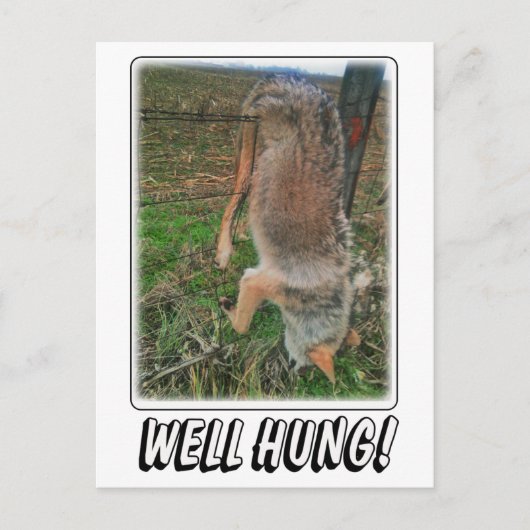 COYOTE HUNT - GOED HUNG OVER FENCE BRIEFKAART (Voorkant)